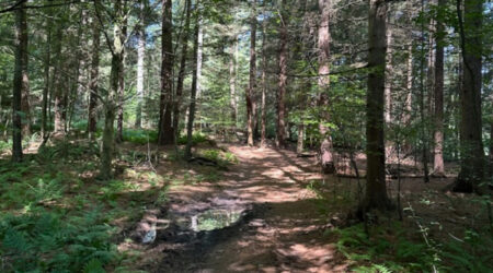 French Creek