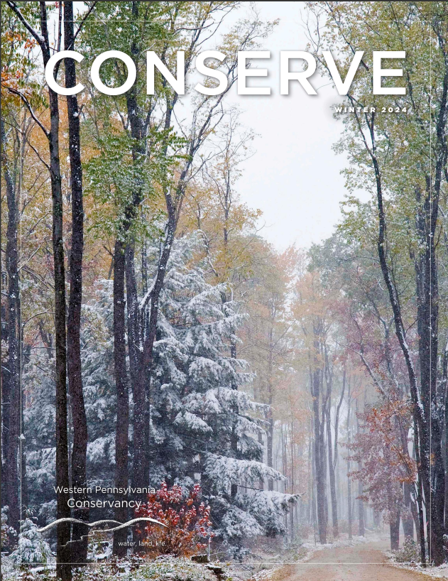 CONSERVE magazine cover