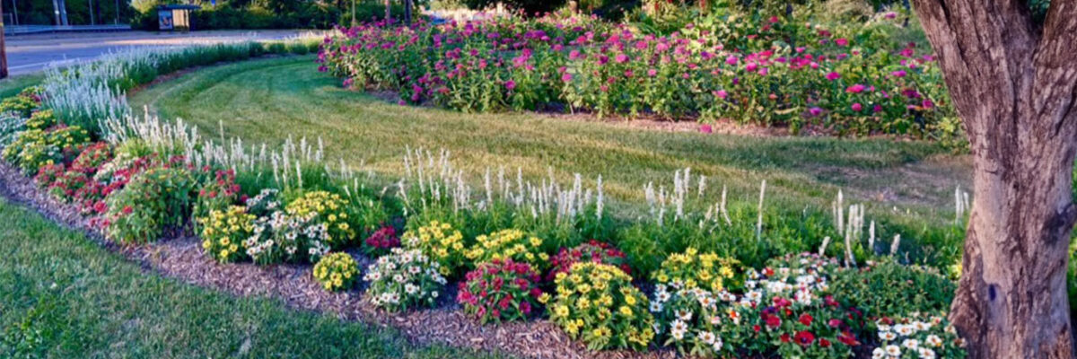 Community gardens
