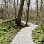 A canoe access path on Indian Creek by Mountain Watershed