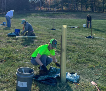 Riparian Tree Planting