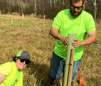 Riparian Tree Planting