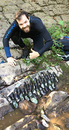 York County Mussells