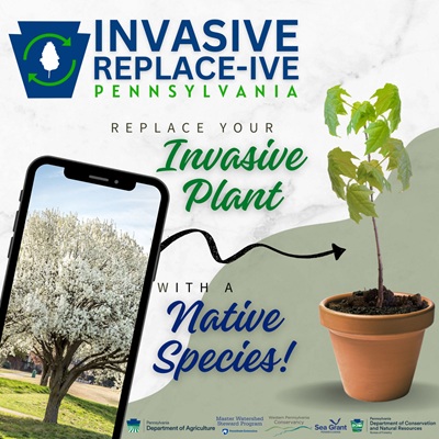 PA Invasive Replace-ive Poster