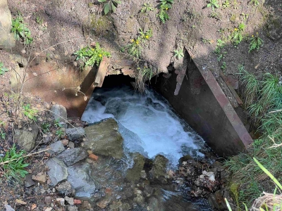 Photo of Loyalhanna Creek Sinkhole