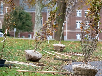 Volunteers planting trees in Harrison Township. 