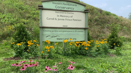 Clairton garden
