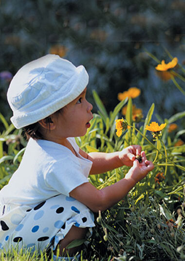 young child in wildflowers
