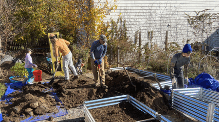 Garden planting