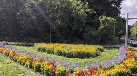 gardens in bloom