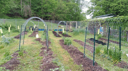 Community garden