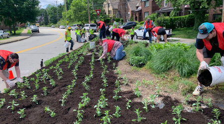 Garden at South Dallas and 6th Ave in Wilkins