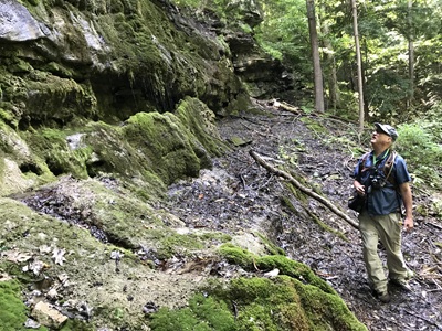 Steve Grund, senior botanist, in the field