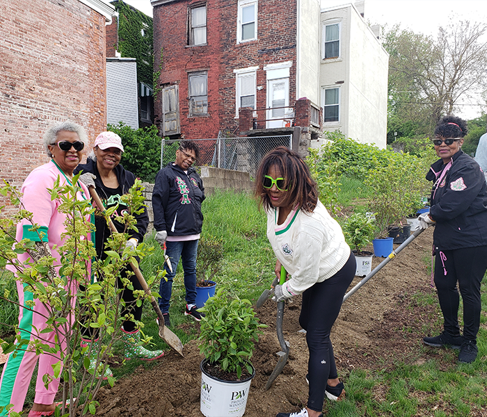 Community members open new Hill District Community Garden