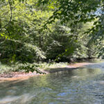New WPC Nature preserve in Cambria County