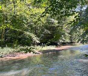 New WPC Nature preserve in Cambria County