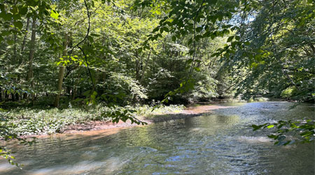 New WPC Nature preserve in Cambria County