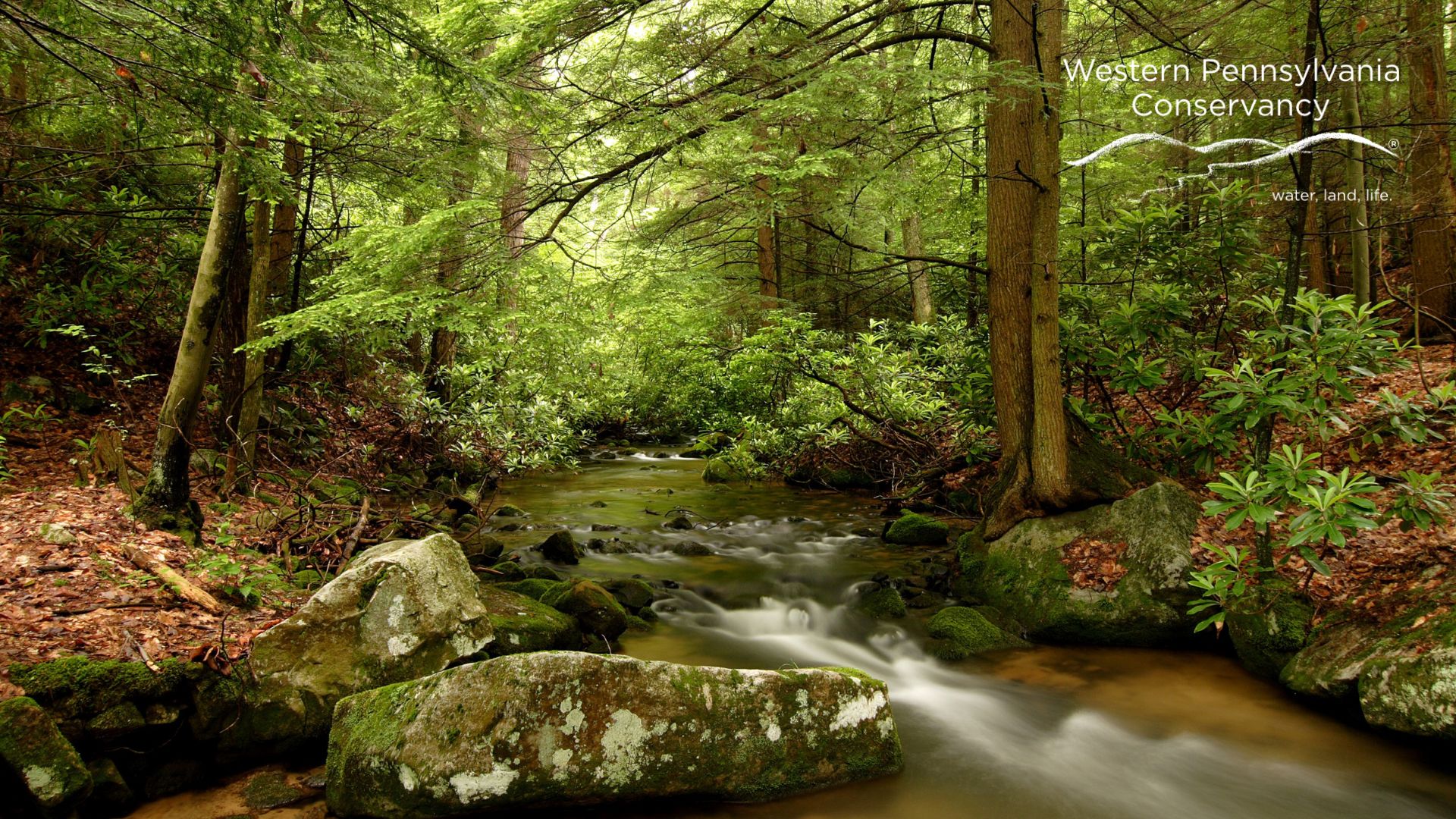 Bear Run Nature Reserve