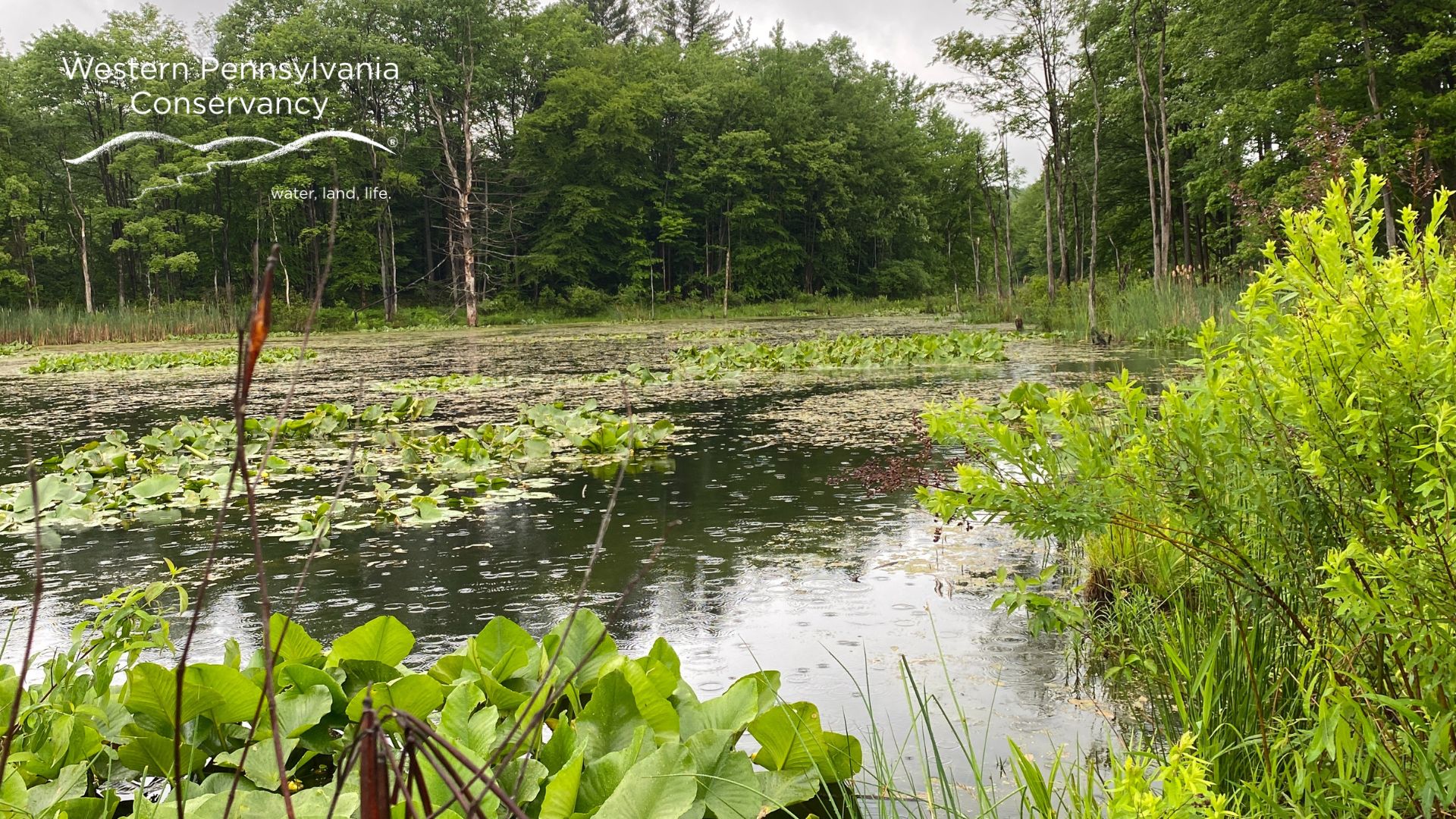 West Branch French Creek Conservation Area