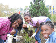 Community Greening volunteers