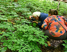 Land conservation work