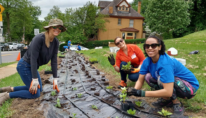 Community Greening Volunteers