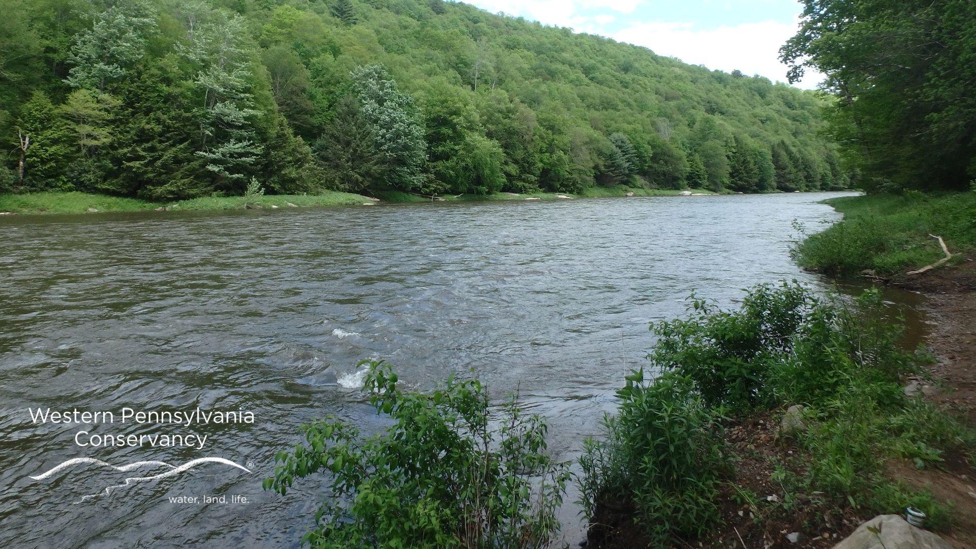 The Clarion River