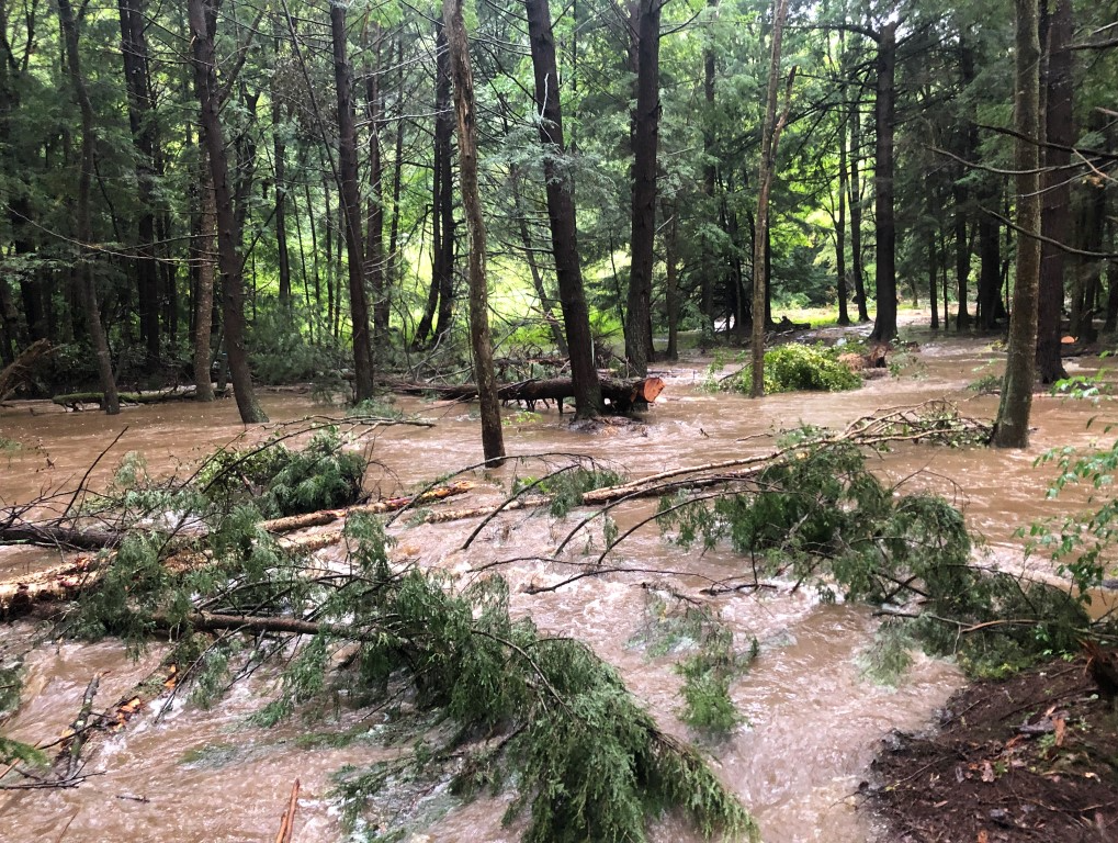 Additions of LWM to Little Arnot Run mimics a natural process. In this photo of Structure 1 during a flood, the LWM helps disperse flood waters onto the floodplain, preventing the fire hose effect