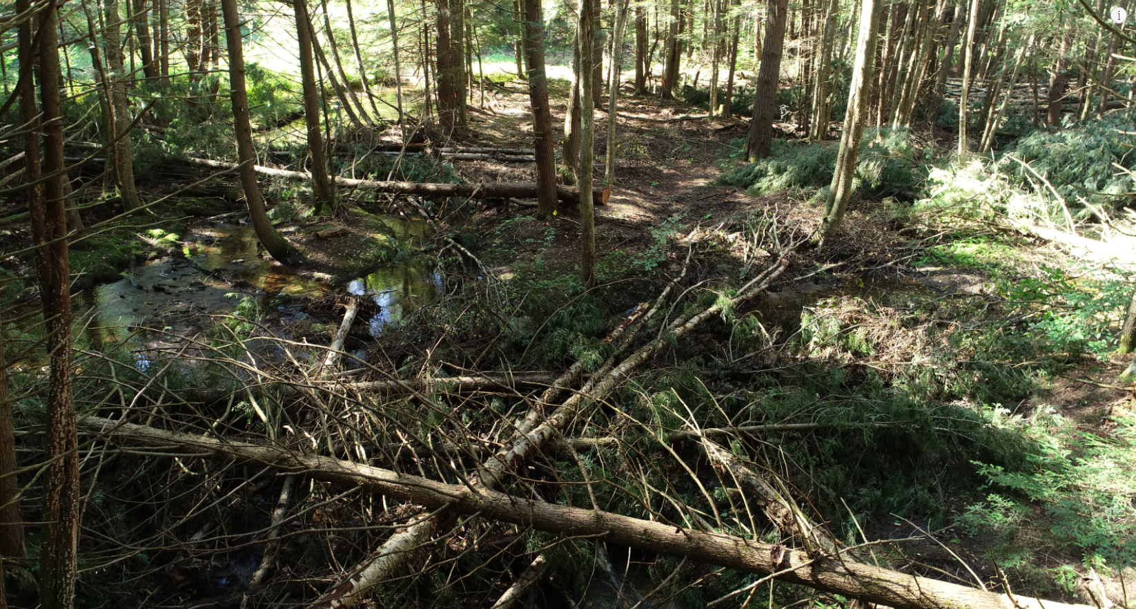 Little Arnot after addition of large woody material