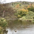 Location for Kinzua Creek cross vane, part of fish habitat restoration project