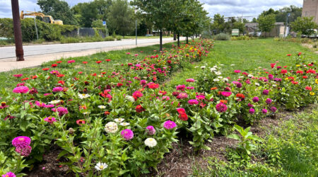 Lincoln Ave. & Frankstown Ave. Garden