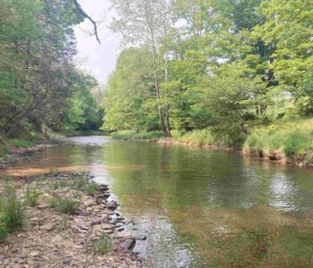 Bedford County land protected including access to Town Creek