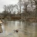 WPC fish habitat improvement site on Salmon Creek Forest County ANF before work 300x300