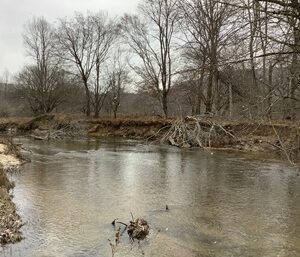 WPC fish habitat improvement site on Salmon Creek Forest County ANF before work 300x300