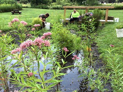 WPC-rain-garden-BennettsValley_Weedville-2024-400x300