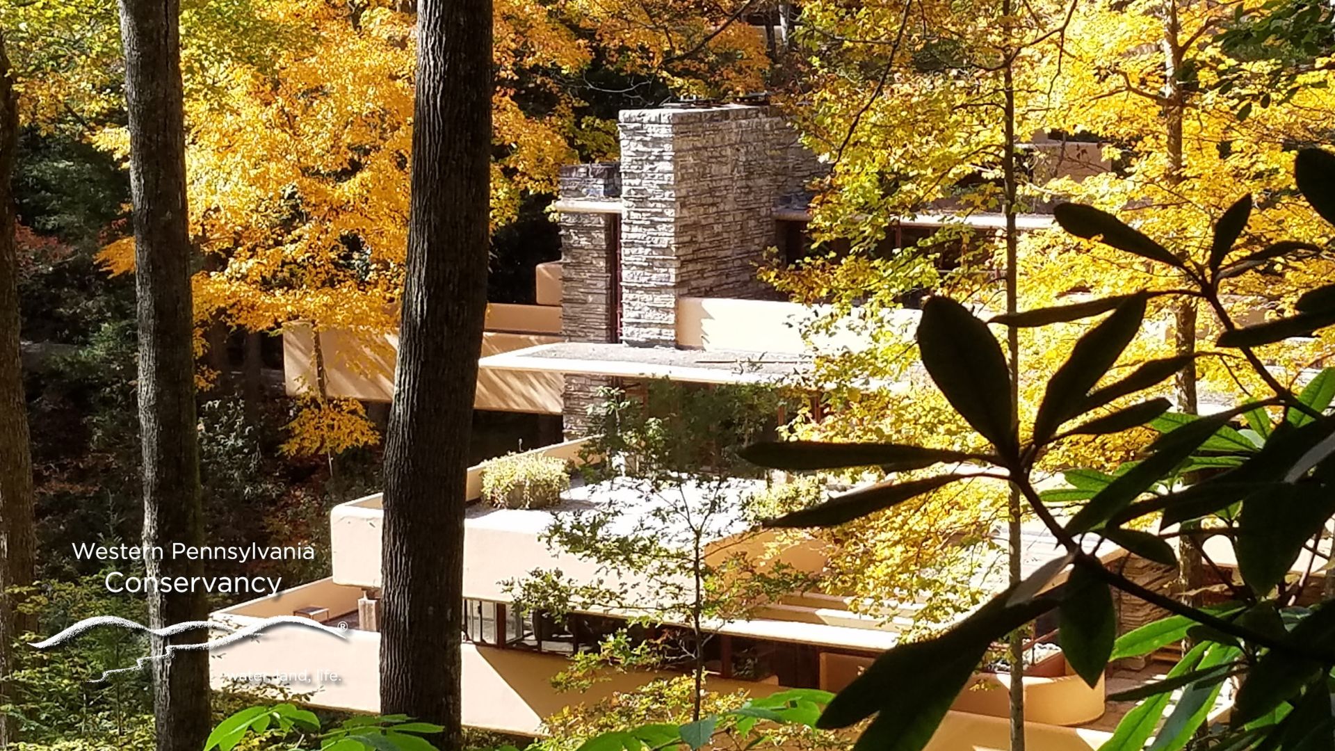WPC-virtual BG-1920x1080-Fallingwater-birds-eye-fall