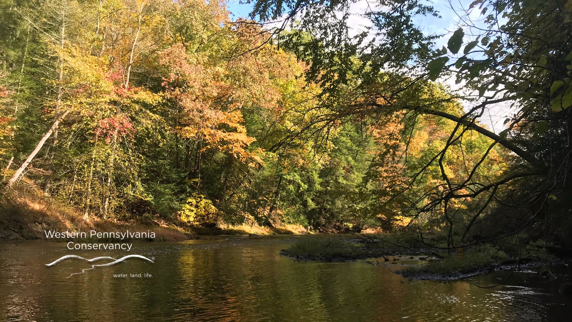 WPC-virtual BG-1920x1080-Wolf- Creek-WCNNA