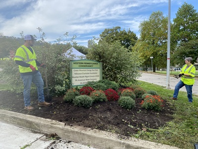 WPC-PA-American-Water-mums-Point-garden-400x300