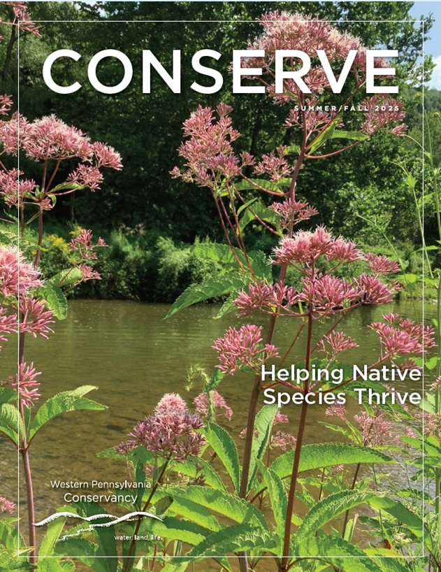 Summer/Fall 2025 Conserve