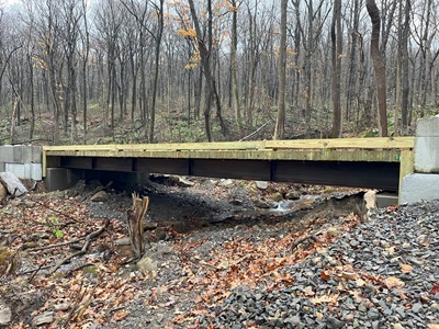WPC-timber-deck-bridge-400x300-