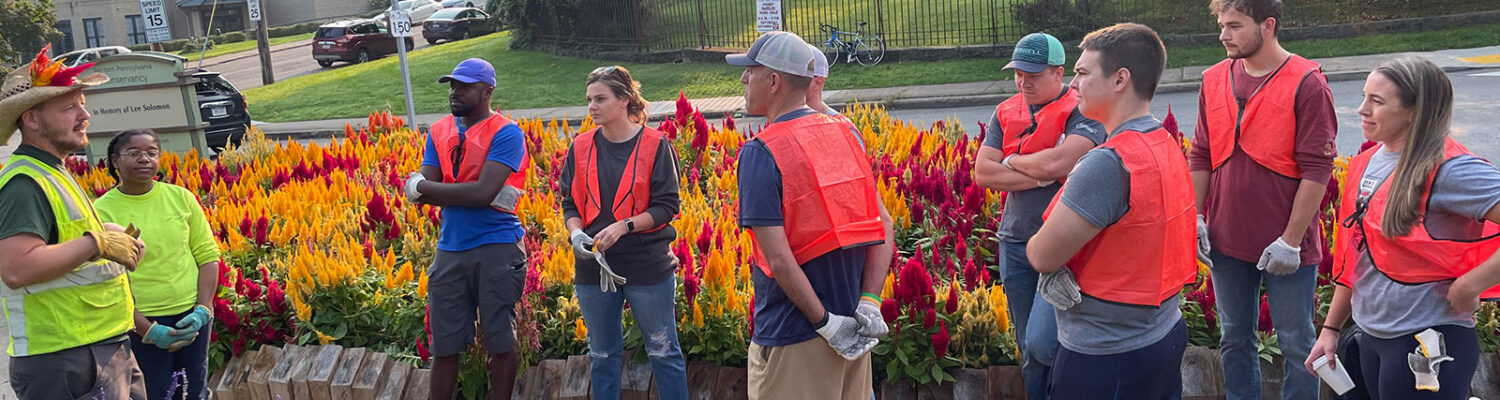 Fall garden South Dallas and Wilkins clean-up