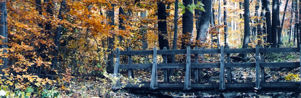 Image of a Western PA preserve in the fall