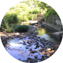 Image of French Creek Watershed wall and future stormwater solutions