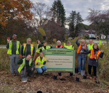 WPC, Pennsylvania American Water and Democratic Women of Indiana County restore a garden in Indiana PA