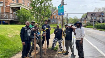 Brighton Heights Tree Planting