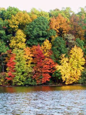 Fall foliage in Western PA