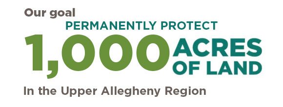 Our goal is to protect 1,000 acres of land in the Upper Allegheny region