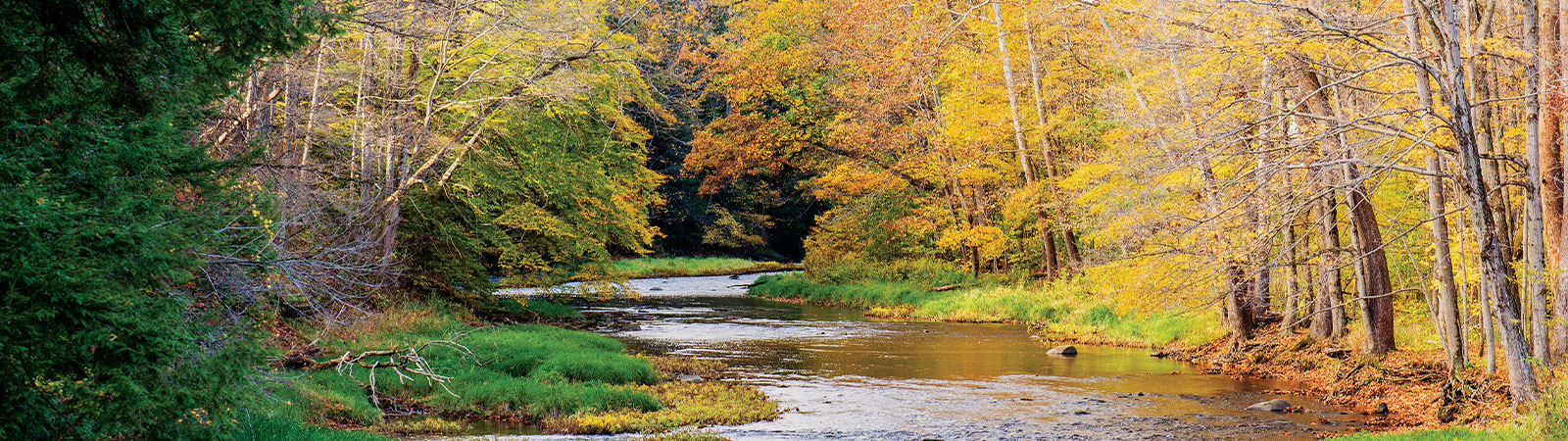 Allegheny River Allegheny River