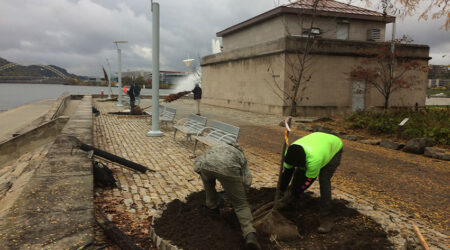 Point State Park Tree Planting