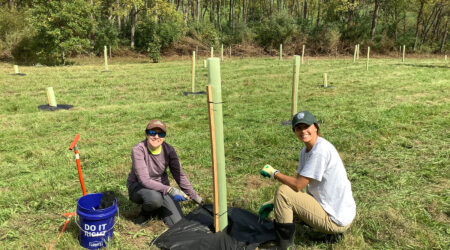 Riparian Tree Planting in Western Pennsylvania